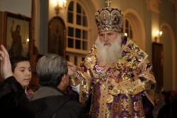 _MG_4886 - �����